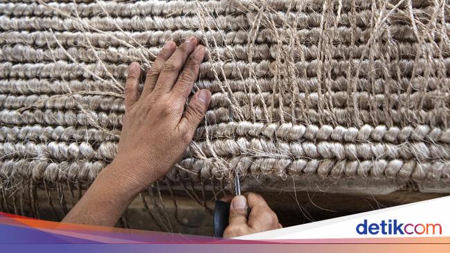 Serat Abaka Merupakan Contoh Hasil Perkebunan Negara Apa? Ini Penjelasannya