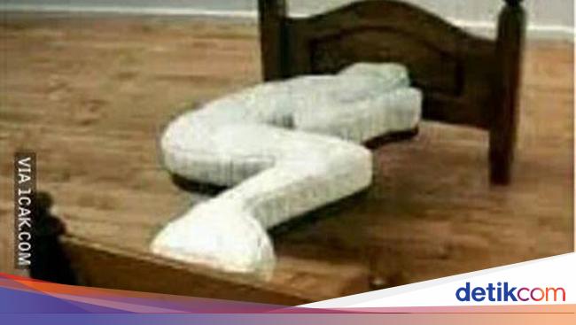 10 Foto Tempat Tidur  Anti Mainstream Desainnya Nyeleneh 