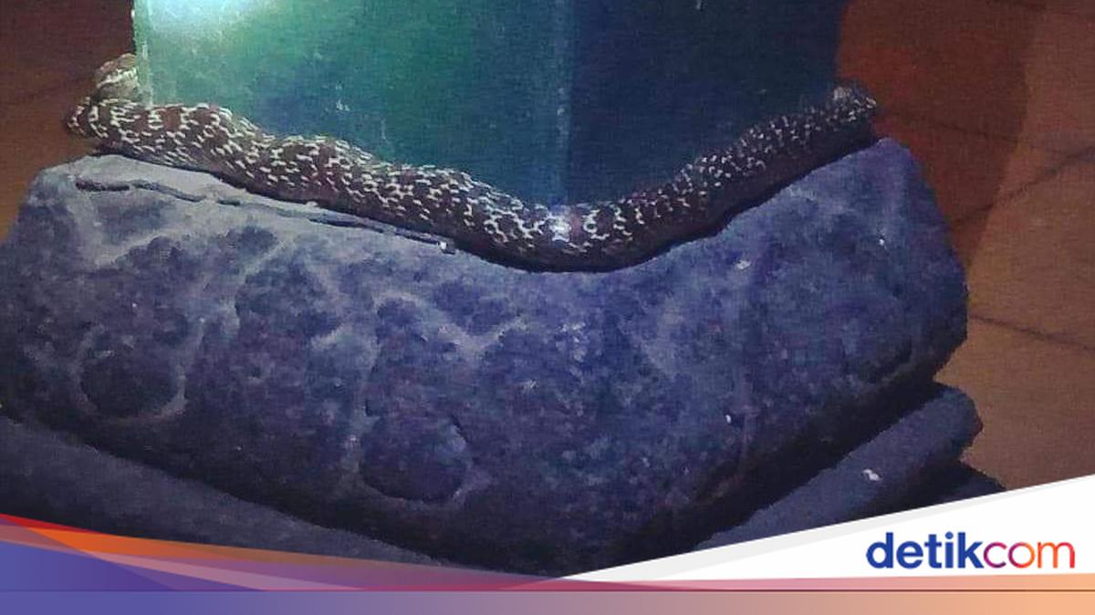 Yetuk rus oilasi hammomda dosti bilan jinsiy aloqa qilmoqda. Transseksuallarning Moskvadagi dam olish faoliyati