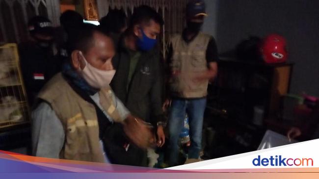  Jual  Ribuan Labi labi Moncong Babi Pria  di  Sulsel Ditangkap