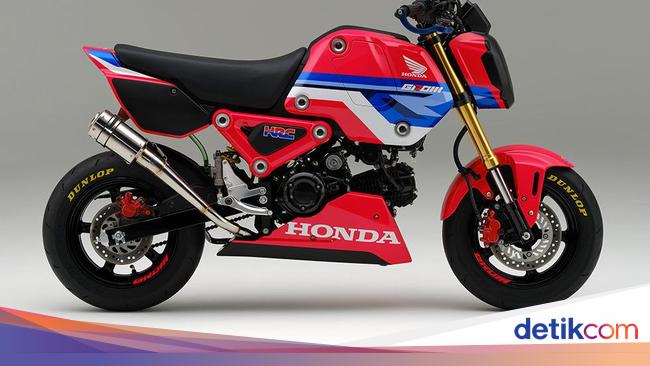 honda grom hrc kit