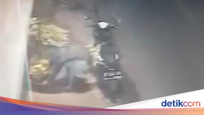 Viral Perempuan Berhijab di Probolinggo Curi Tanaman Hias Viral Perempuan Berhijab di Probolinggo Curi Tanaman Hias