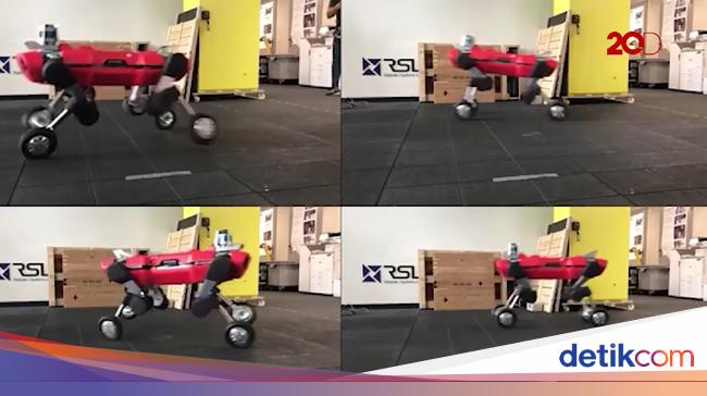 ANYmal Robot Mirip  Hewan  yang Bergerak Super Lincah ANYmal Robot Mirip  Hewan  yang Bergerak Super Lincah