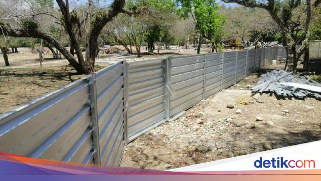 Ini Dia Proyek proyek yang Dikerjakan di Pulau Komodo Ini Dia Proyek proyek yang Dikerjakan di Pulau Komodo