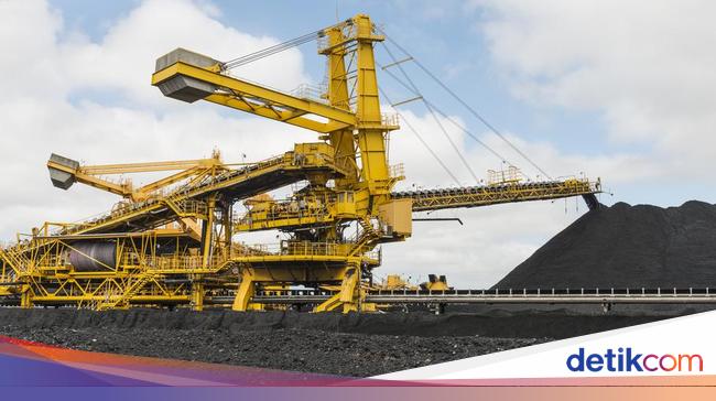 Apa Itu Sumber Daya Alam Ini Pengertian Jenis Dan Manfaatnya Apa Itu Sumber Daya Alam Ini Pengertian Jenis Dan Manfaatnya