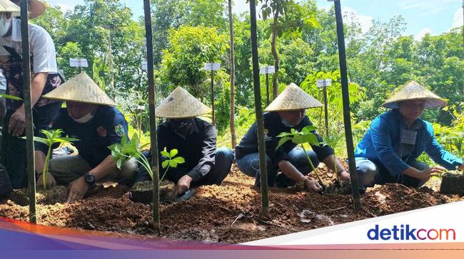 Peringati Sumpah Pemuda Warga Ciamis Menanam 10 Ribu Peringati Sumpah Pemuda Warga Ciamis Menanam 10 Ribu