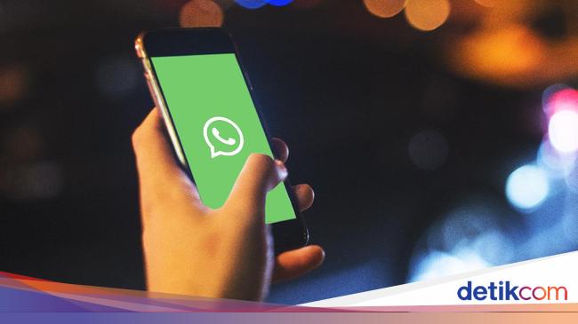 Apa Arti Tanda Centang di WhatsApp?