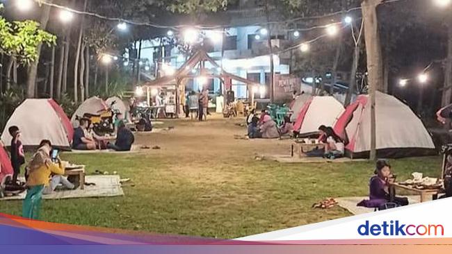 Semarang Punya Penginapan dengan Konsep Unik di Hutan Semarang Punya Penginapan dengan Konsep Unik di Hutan