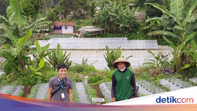 Dorong Minat Milenial, Petrokimia Gresik Gelar Jambore Petani Muda