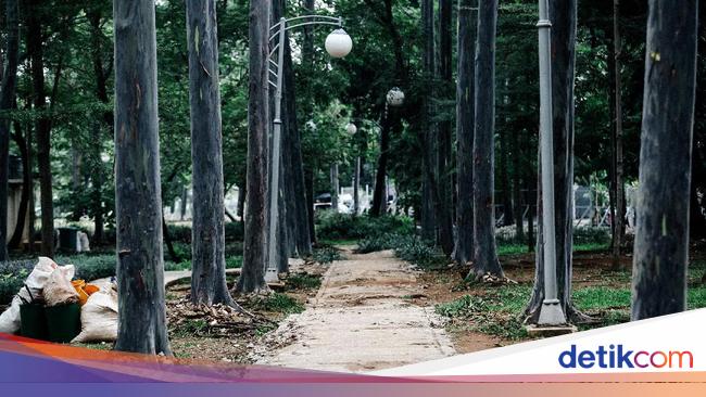 Menengok Revitalisasi Taman Tebet yang Dirombak Jadi Eco