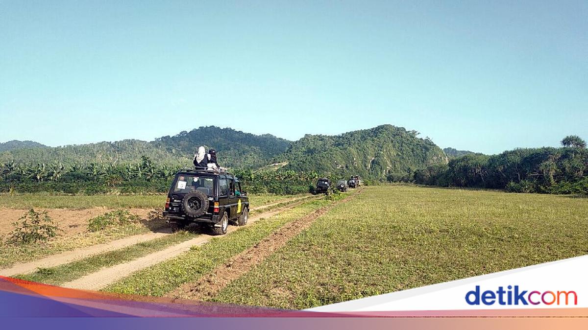 TN Meru Betiri, Tempat Terakhir Harimau Jawa Terlihat