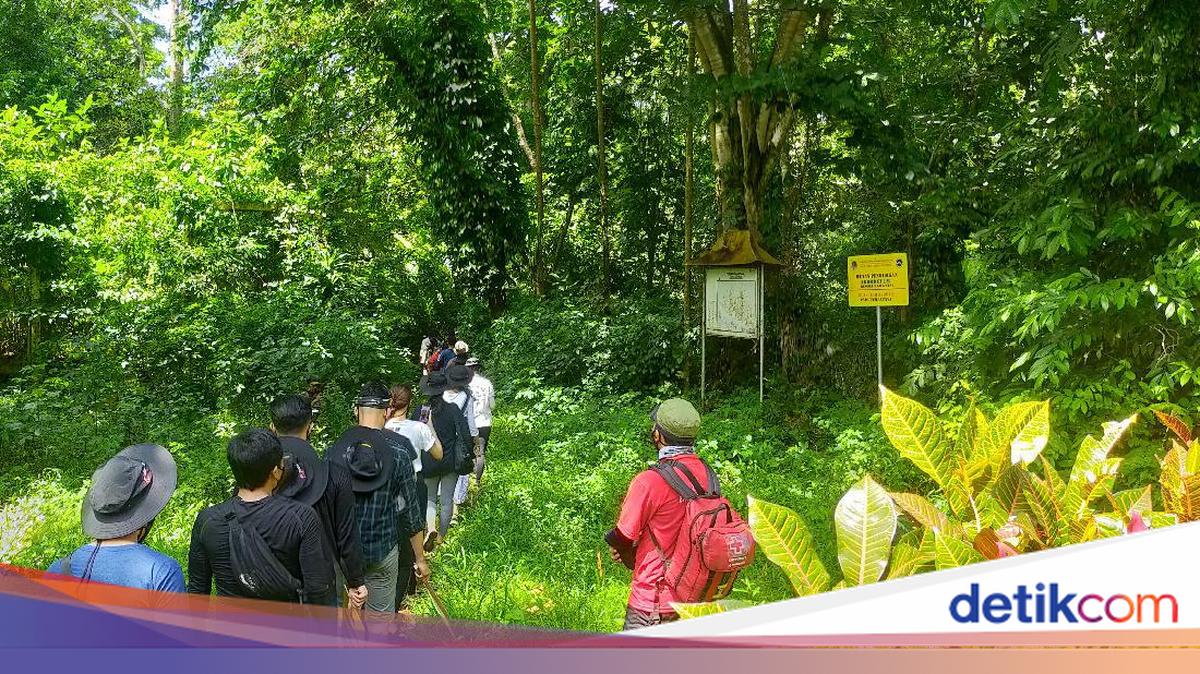 Pesona Taman Nasional Meru Betiri, Ini Ketentuan dan Harga Tiket Masuk