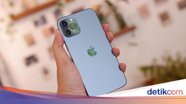 Kamera IPhone Tidak Berfungsi/Mati Setelah Jatuh Ajaib! iPhone 12 Pro Tidak Rusak Setelah Jatuh dari Lantai 26