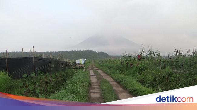  Gunung  Semeru  Diprediksi Akan Diguyur Hujan Hari  Ini 