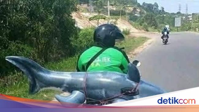 Tanggapan Gojek Soal Order Kurir yang Kelebihan Muatan