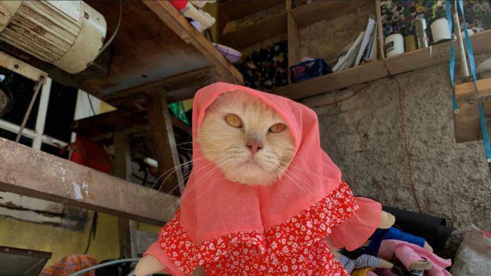 Pasar Busana Kucing di Indonesia, Mulai dari Jilbab Hingga Kostum 