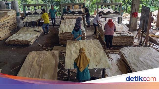 Loker Pabrik Kayu Di Daera Boja Kendal - Lowongan Pabrik Triplek