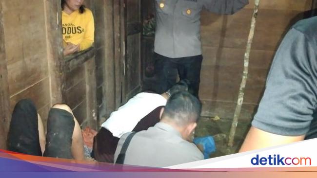 Ibu Sadis Di Sumut Gorok 3 Anak Kandung Gegara Impitan Ekonomi