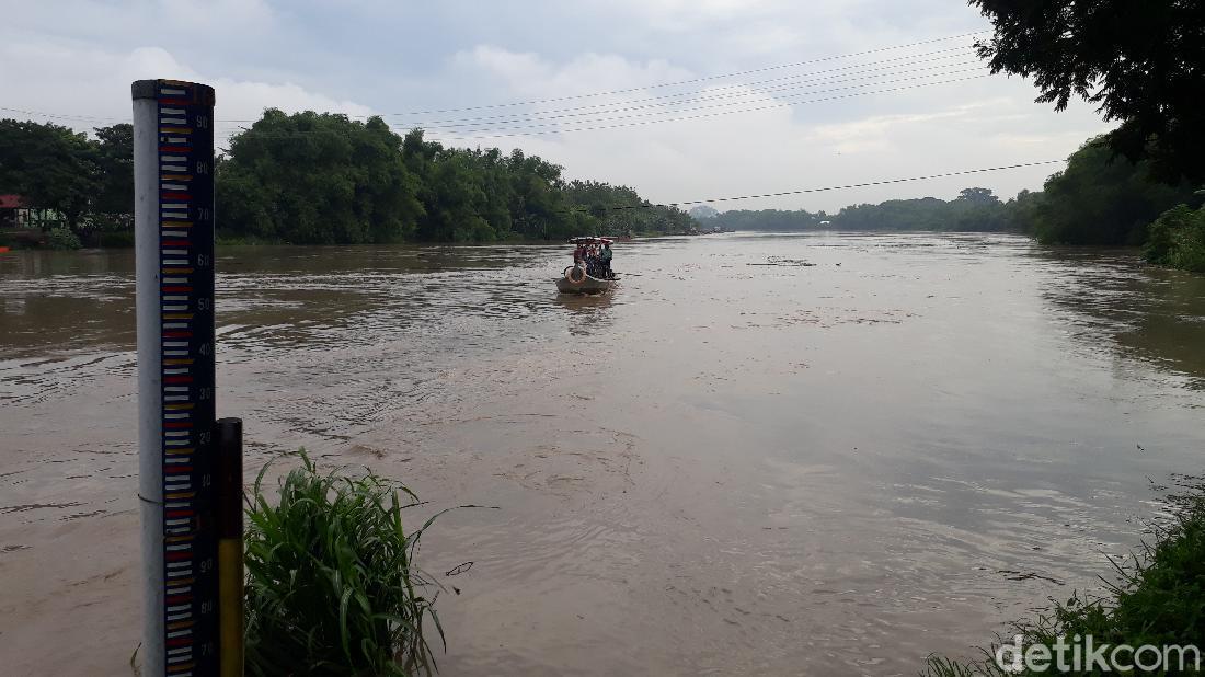 Curah Hujan Tinggi Di Bojonegoro, Debit Air Sungai Bengawan Solo Naik