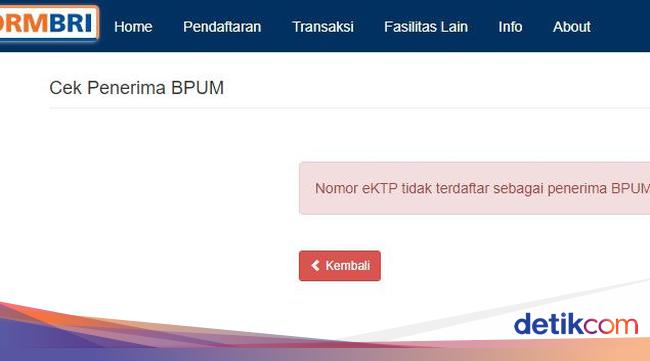 Buka eform.bri.co.id/bpum buat Cek Penerima BLT UMKM Rp 1,2 Juta