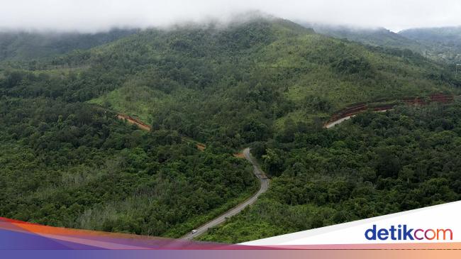 Terkuak! Ada Harta Karun Bahan Baku Nuklir di Kalimantan