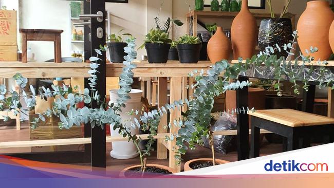 Kisah Pegawai Bank Banting Setir Bisnis Tanaman Hias Omzet Rp 300 Juta