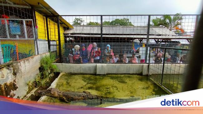 Mini Zoo di Kuningan Bisa Jadi Pilihan Nikmati Liburan Awal Tahun