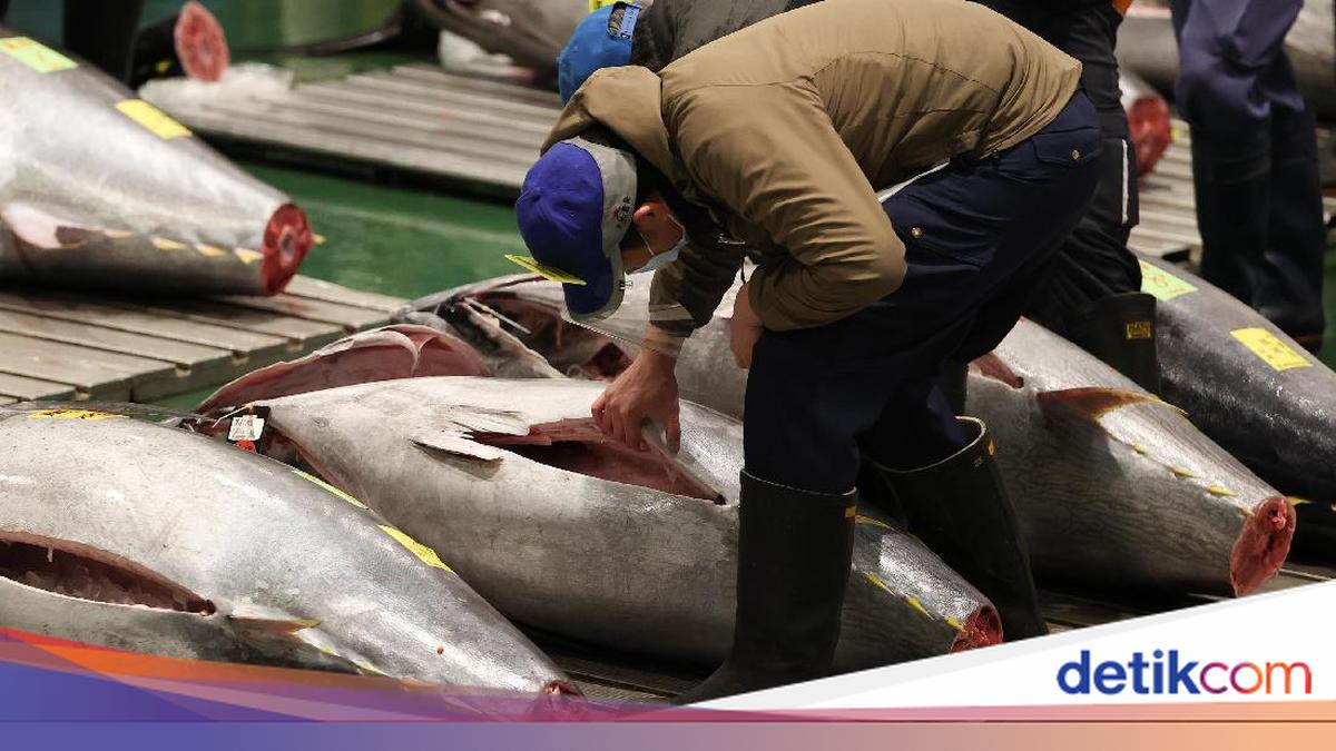 RI Minta Tambahan Kuota Penangkapan 3 Ribu Ton Tuna Sirip Biru