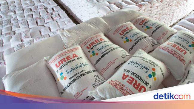 Anggaran Belum Cair, Penyaluran Pupuk Subsidi Bakal Disetop?