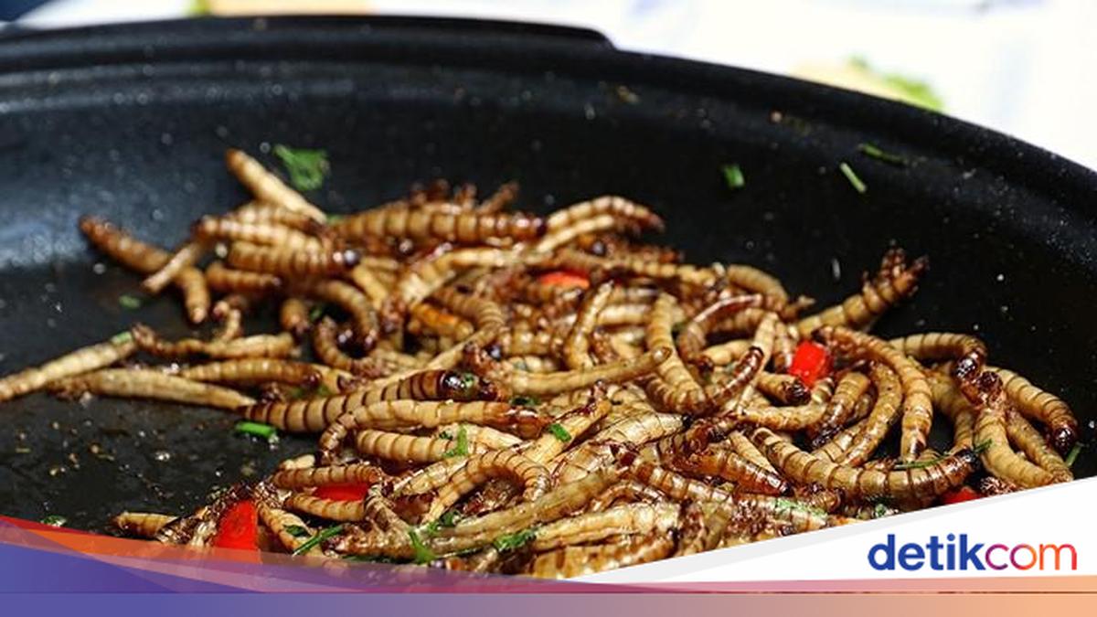 Ulat yang Kaya Protein Bakal Disajikan di Restoran Mewah