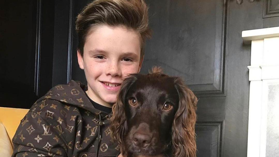 cruz beckham supreme louis vuitton