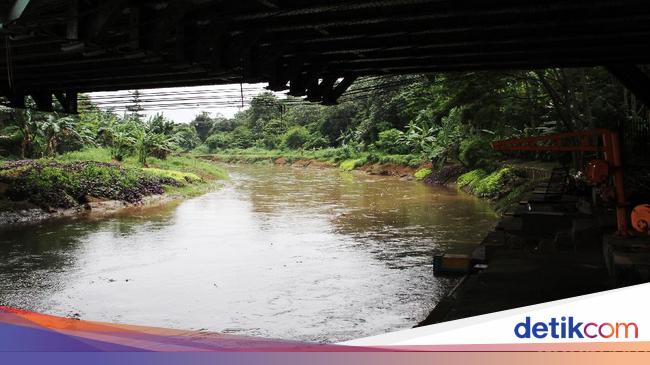 Memasuki Musim Hujan  Debit Air  Ciliwung Masih  Normal