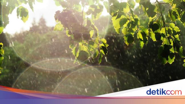 5 Cara Agar Tetap Sehat Saat Cuaca Tidak Menentu