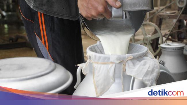 Segini Kebutuhan Susu buat Program Makan Bergizi Gratis Prabowo