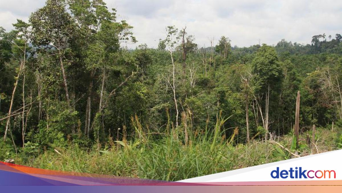 Kawasan Lindung Taman Raja
