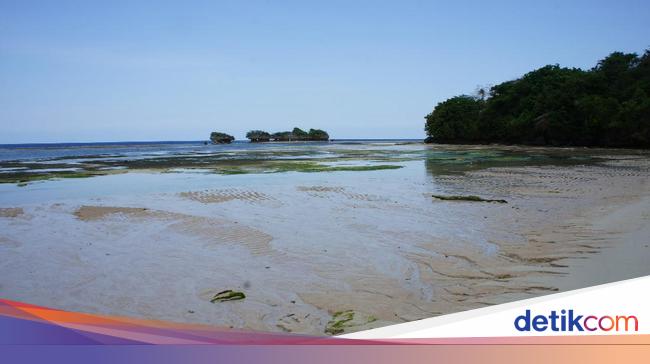 Aneh Tapi Nyata Pantai Ini Punya Ratusan Mata Air Tawar