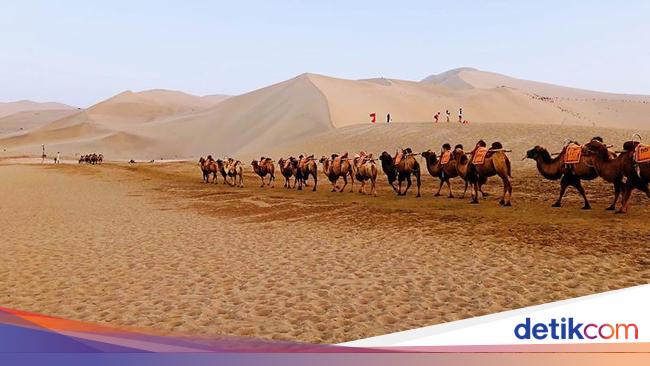 Bukan Fatamorgana Ini Benar Benar Mata Air Di Tengah Gurun Bukan Fatamorgana Ini Benar Benar Mata Air Di Tengah Gurun