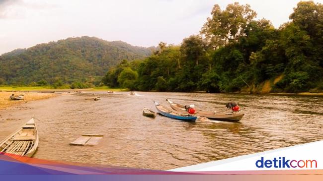 Hijaunya Alam Riau, Ini Bukit Rimbang dan Baling