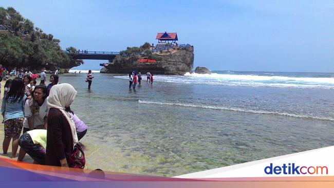 99 Koleksi Ikan Hias Air Laut Jogja HD Terbaru