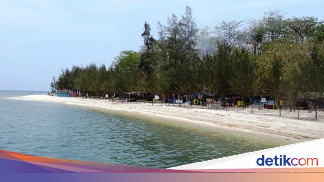 Pantai Pulau Panjang Karimunjawa Mini Di Laut Jepara