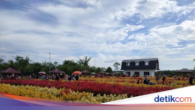 Taman Bunga Luar Negeri? No, Ini di Aceh