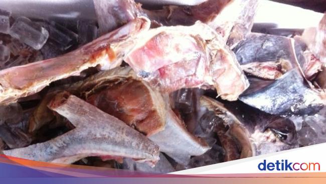Wisata Kuliner Rahang Tuna Bakar Rica Manado yang Bikin Goyang Lidah