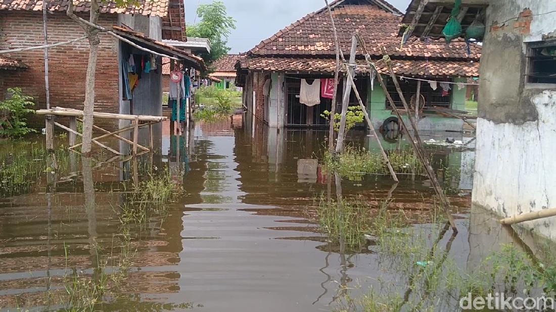 Banjir Kembali Landa Kota Pekalongan, 16 Kelurahan Terendam