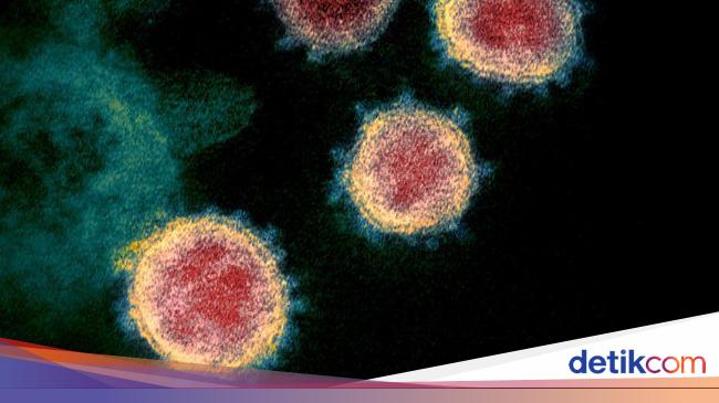 Sejumlah Jenis Baru Virus Corona Mengkhawatirkan Tapi Para Pakar Optimis