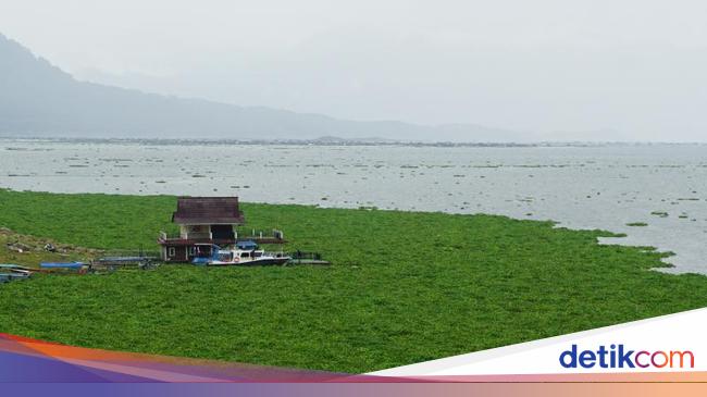 Begini Cantiknya Waduk Jatiluhur Saat Musim Hujan