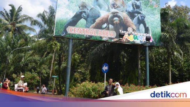 Tamasya Libur Sekolah Ke Kebun Binatang Ragunan