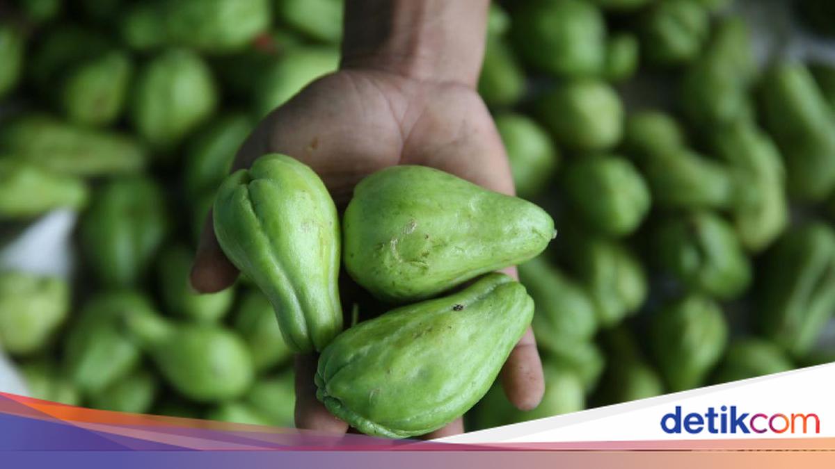 Labu Acar Datangkan Cuan Bagi Petani di Bandung