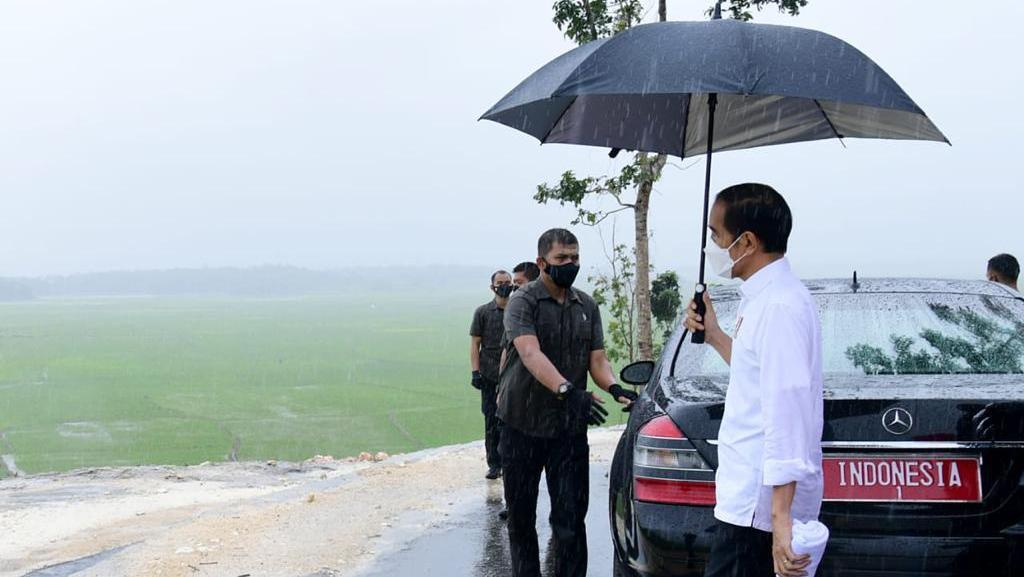 Momen Jokowi Hujan-hujan Pakai Payung Tinjau Food Estate Di NTT