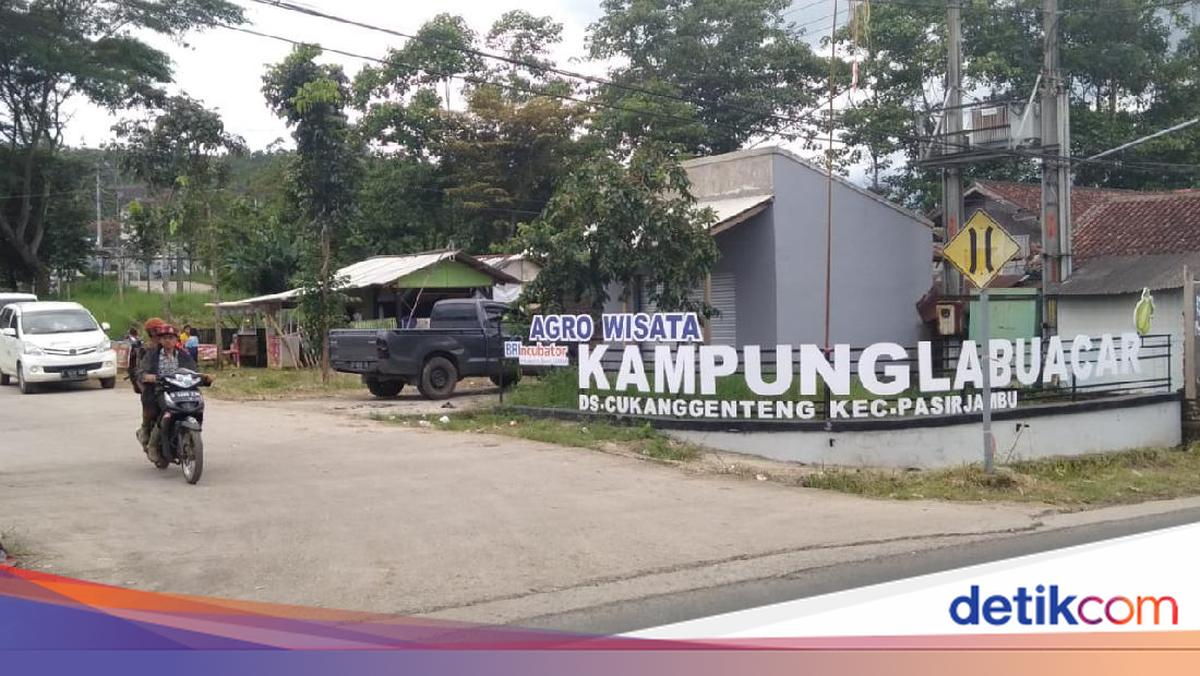 Punya Potensi, Kampung Labu Acar di Bandung Ini Bisa Jadi Agrowisata