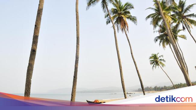 Traditional Massage Intentions, This Tourist is Even Harassed by Therapists on the Beach